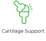 cartilage-support